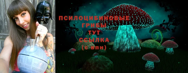 мяу мяу мука Верея