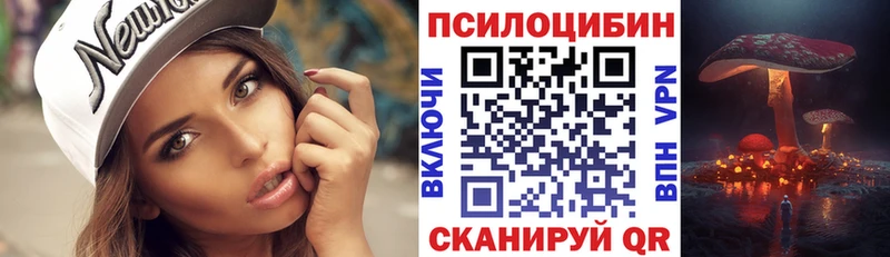 Купить закладки  Калязин  Псилоцибиновые грибы Cubensis 